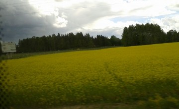 Lauksaimniecība un lauku attīstība