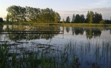 Lauksaimniecība un lauku attīstība