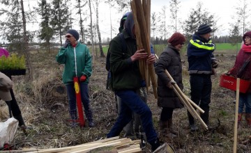 Lauksaimniecība un lauku attīstība