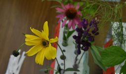 eTwinning projekta sadarbību ar Turciju 