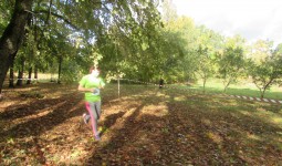 Rudens kross, Vecbebri