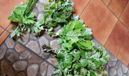 Mācību ekskursija SPA1 grupas audzēkņiem