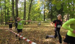 Rudens kross, Vecbebri