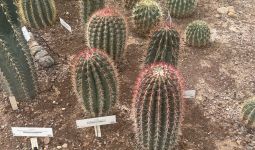 Mācību ekskursija 15.05.2024.