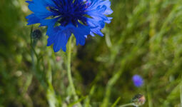 Mācību ekskursija SPA1 grupas audzēkņiem