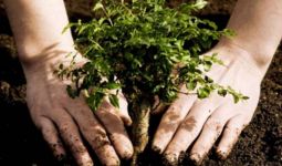 eTwinning projekta sadarbību ar Turciju 