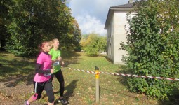 Rudens kross, Vecbebri