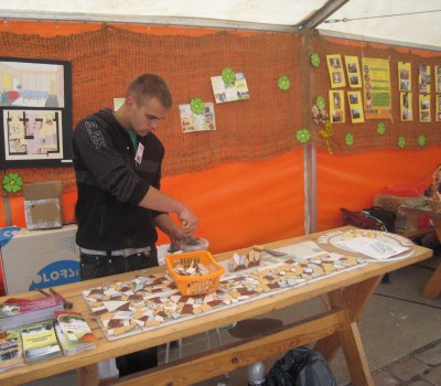 Būvdarbi (apdares darbi)