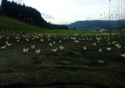 JAK Barkavas struktūrvienības audzēkņi dodas Erasmus+ piedzīvojumu braucienā!